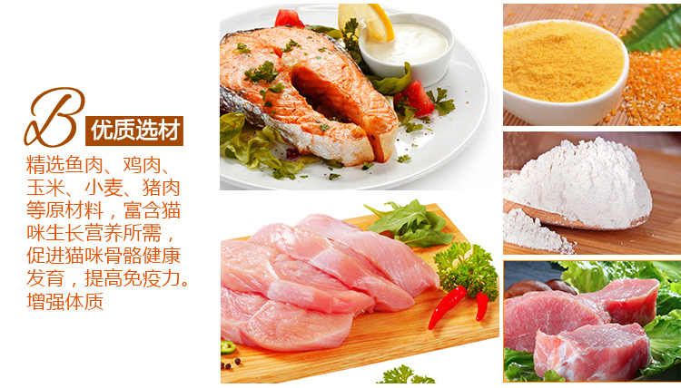 Ưu đãi đặc biệt Cá hồi Ou Jiajia + rong biển vào thức ăn cho mèo trẻ 500g thức ăn chính cho mèo độc lập mua năm tặng một hạt canin
