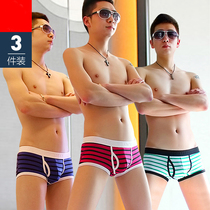 Striped mens panties mens boxers cotton sexy Korean version of the youth tide personality low-waisted student boxer shorts toe