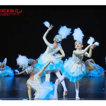 The 9th Xiaohe style to the sky song dance performance clothing female goose children childrens puffy gauze dress performance costumes