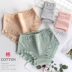 Đồ lót nữ cotton liền thành phố 100% cotton ren giữa eo sexy kháng khuẩn phương thức siêu mỏng mùa hè - Giữa eo