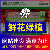 Register to create the official website of the flower and green plant company do website construction and production webpage design and build a one-stop train