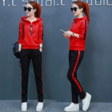 Демисезонный осенний модный спортивный костюм для отдыха, комплект, 2018