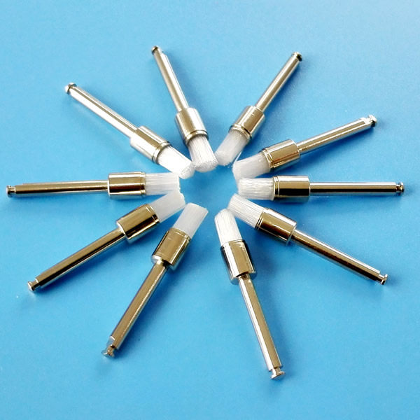 Polished brush with a polished brush with a polished brush with a polished brush