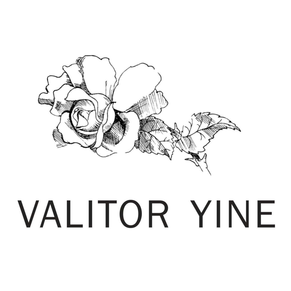 VALITOR YINE品牌正品折扣