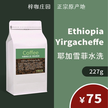  Zisha Coffee Manor Freshly baked Ethiopian washed Yejia Xuefei G1 Coffee Beans 227g punch crown promotion