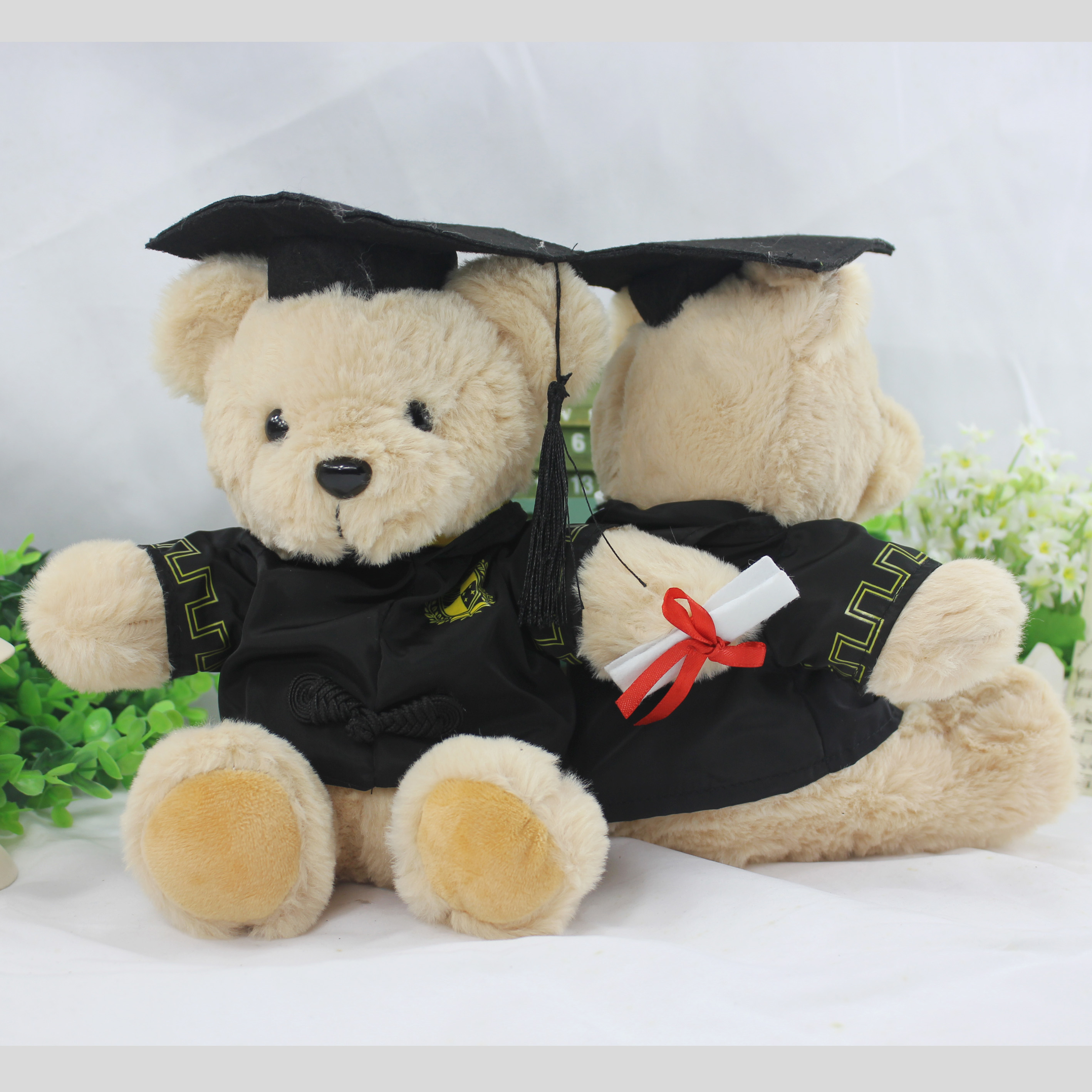 Doctor Cap Bear Plush Paparazzi Dola A Dream Mouse Cat Doll Holding Pillow Cloth Doll Teddy Bear Birthday Graduation Gift