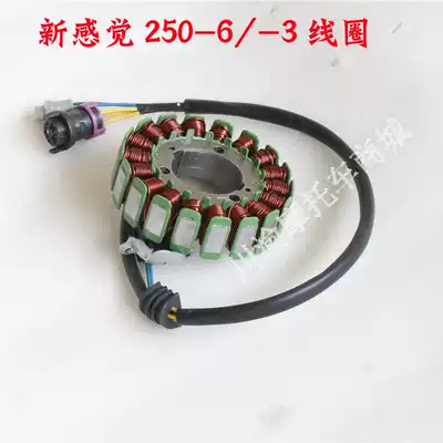 New feeling 250 War wolf coil 250-6C 250-3 engine coil Charging coil
