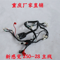 New feeling motorcycle main line cable 250-28 large line full car line R9 full car cable Main cable vehicle accessories