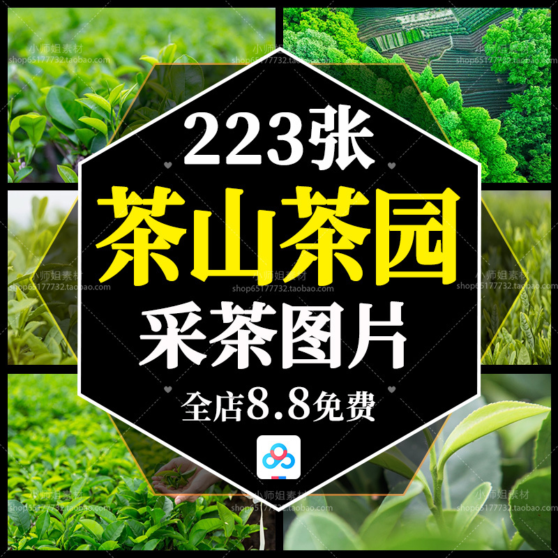 Tea Plantations, Tea Picking, High Mountain Tea Trees, Tea Terraces, Tea Leaves, Tea Farmers, Tiktok High-Definition Images, Background Design Materials