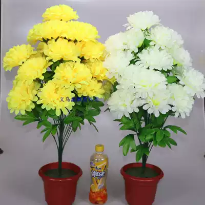 Tomb sweeping simulation chrysanthemum bouquet on the grave sacrificial fake flower cemetery placement of 24 high branches Dali chrysanthemum 24 long pole pointed chrysanthemum