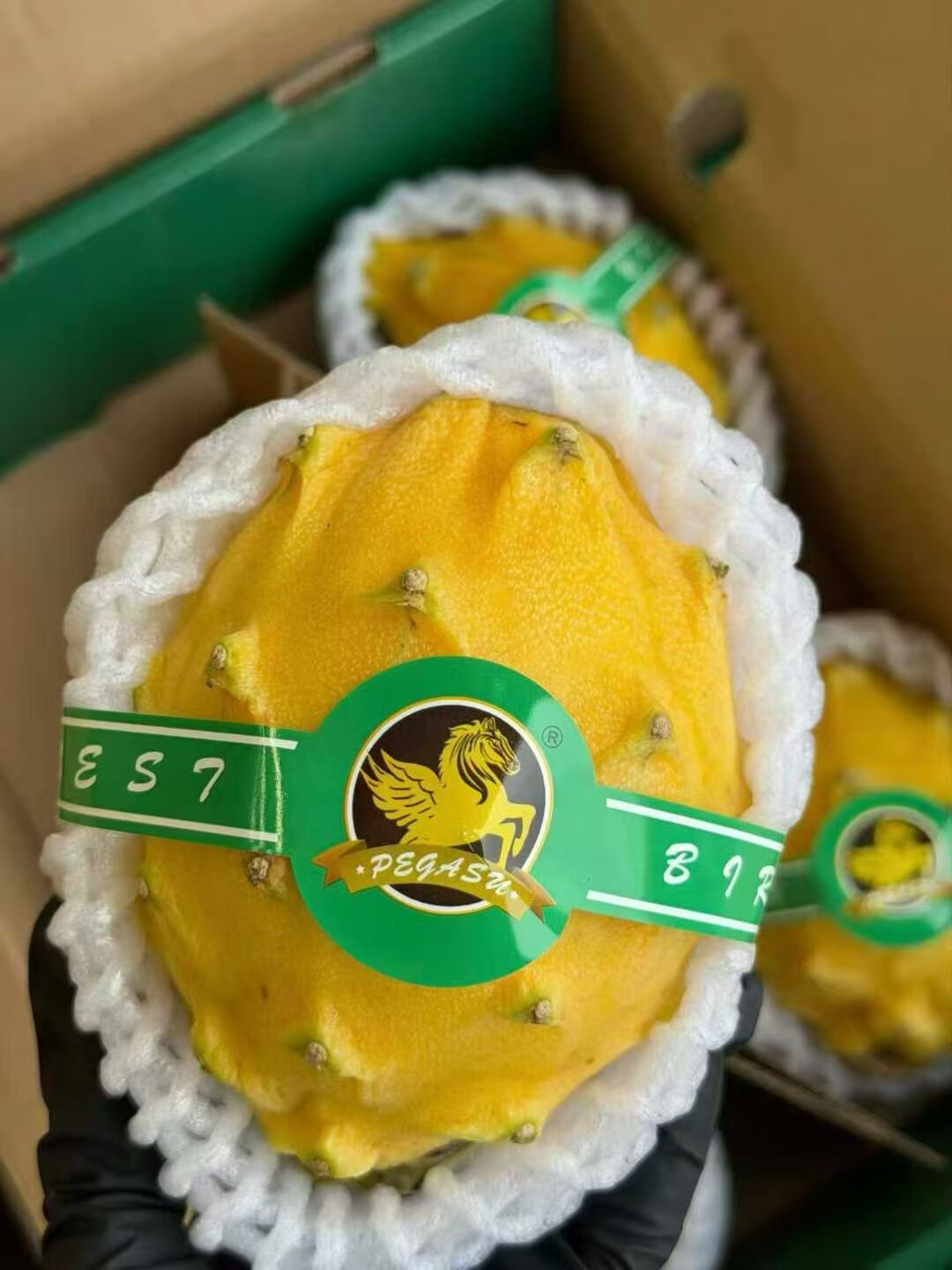 飞飞水果店的LOGO