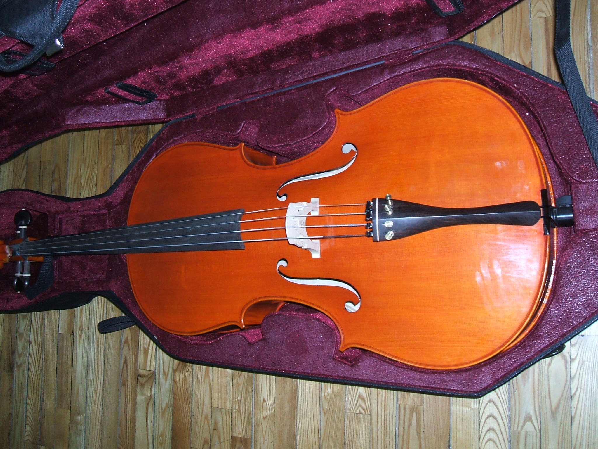 All-hand-in-the-hand, the cello