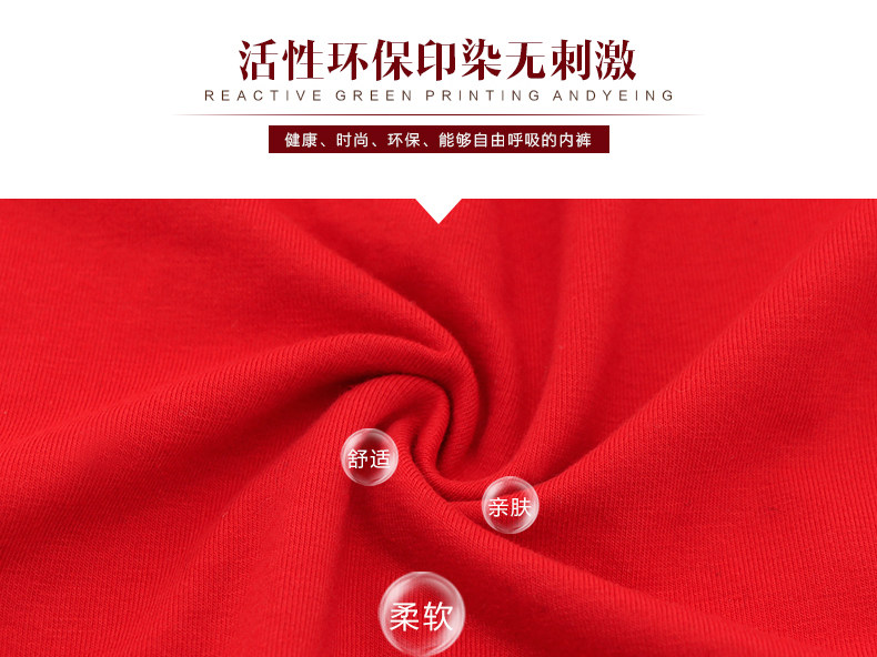 Slip jeunesse LS022 en coton - Ref 669286 Image 9