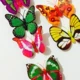 12 пакетов цветных бабочек