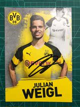 18 18-19-season Dortmund Weigels pro-pen signing card