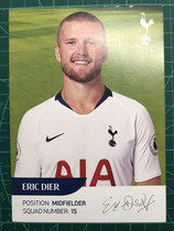 18 18-19 Premier League Hotspur Diehls official White Card