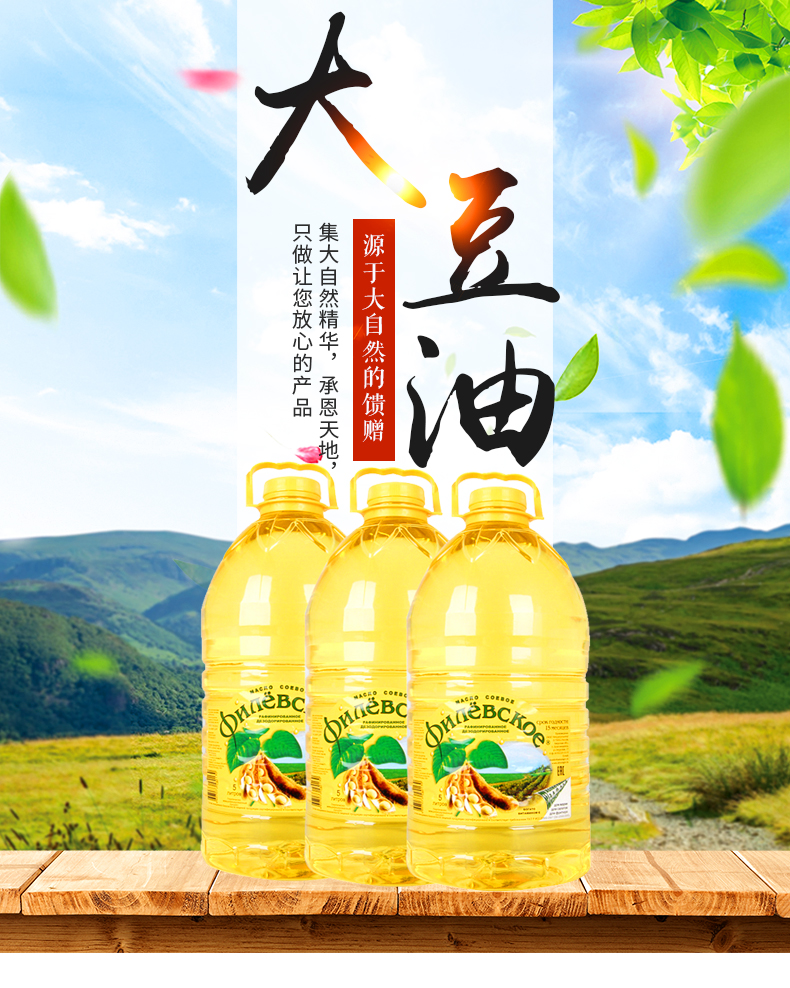 Russia imported Filevskaye brand soybean oil edible oil 5 liter barrel