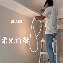 SNAKE high-end custom soft light strip 10 meters without pressure drop high color rendering 3000K low voltage constant current LED strip