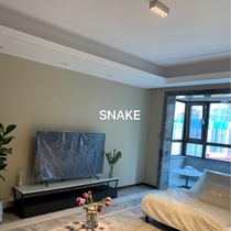 SNAKE-Zodiac grid-Surface mounted downlight-No ceiling-High power-Living room Dining room Bedroom balcony High color rendering