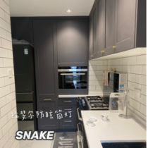 SNAKE-RAPHAEL Light Anti-glare Downlight-Embedded-Ceiling