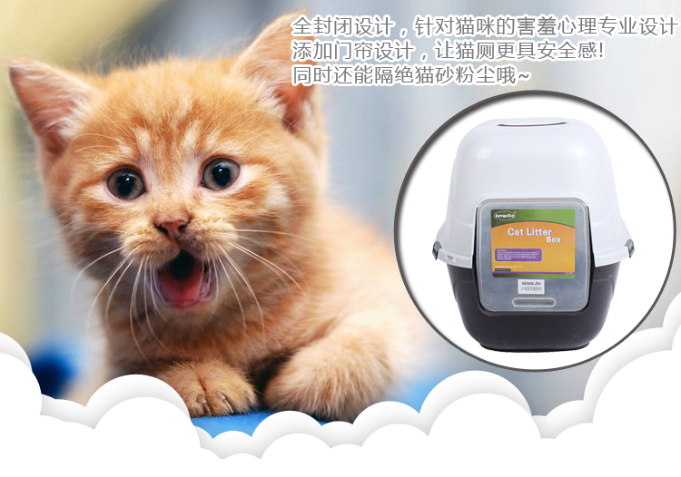 给猫消毒猫厕所用什么消毒水好?怎么用?