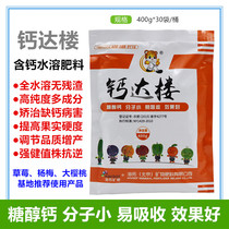 Calcium Dalou India calcium medium element water soluble fertilizer plant calcium supplement hardness potassium fertilizer hard fruit element 400g