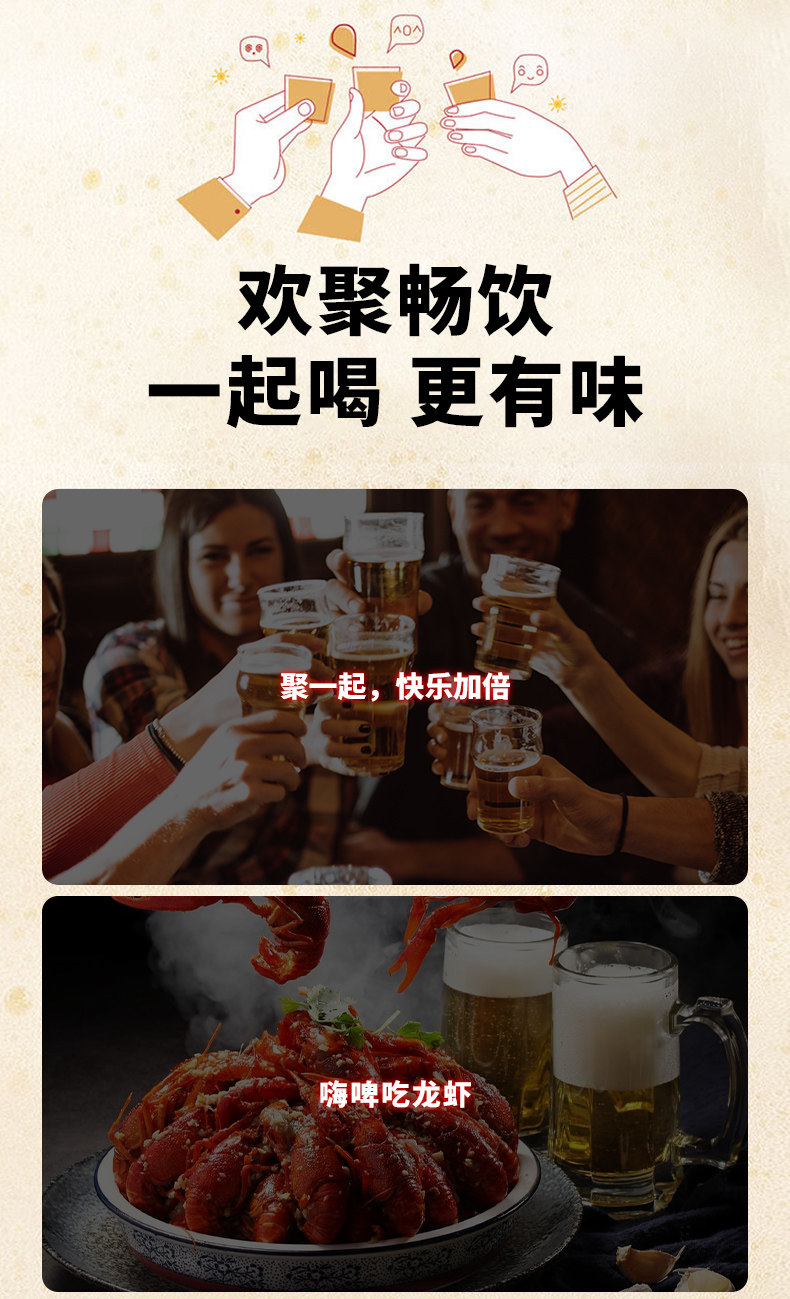安享好物 安享A级啤酒-黑美人哈舅 德式啤酒 国标 