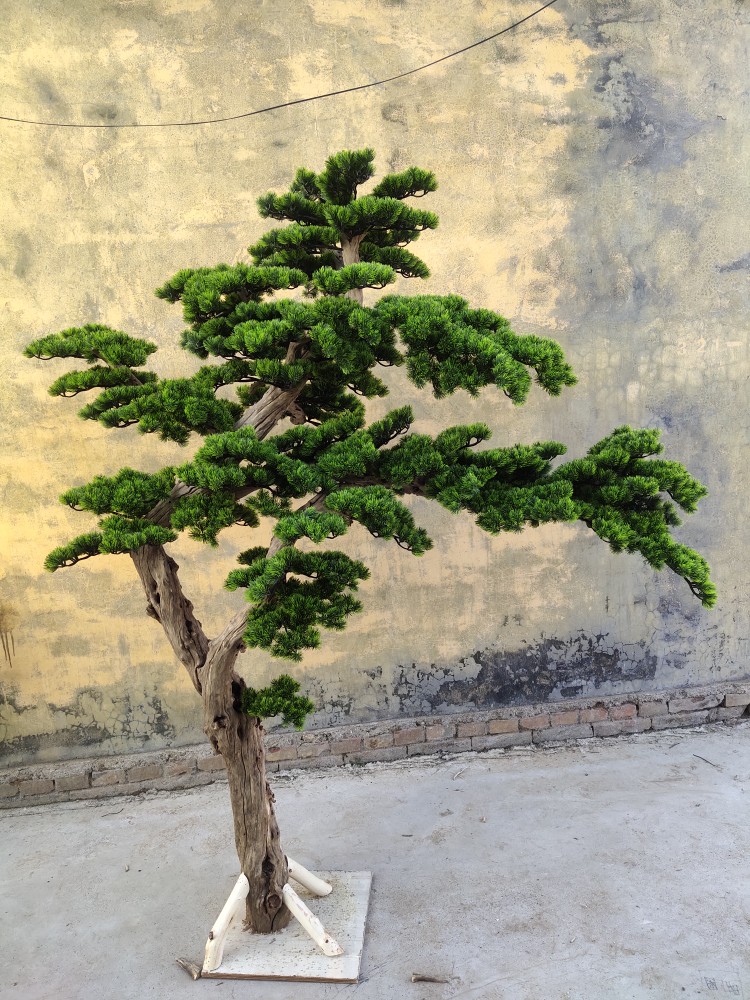 Simulation Greet Guest Loose Swing Piece Indoor view fake Tree Beauty SongArt Decorative Tree Pine Needle Tree Ground Floral Showcase-Taobao