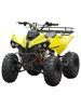 Atv Four-Wheel Off-Road Motorcycle, Small King of the Beach, Free Shipping, 125Cc Gasoline Single-Cylinder All-Terrain Vehicle, Electric Vehicle