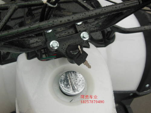 Lớn và nhỏ bull bãi biển trục xoay bốn bánh xe máy xe thể thao 125-250cc xe đạp leo núi off-road vehicle