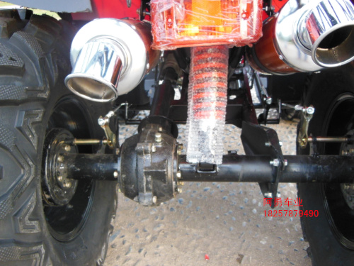 Lớn và nhỏ bull bãi biển trục xoay bốn bánh xe máy xe thể thao 125-250cc xe đạp leo núi off-road vehicle