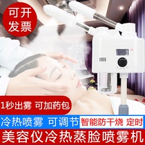 Taidong hot and cold sprayer beauty instrument steamer beauty salon special hydrating hot spray home face spa cold spray