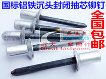 Aluminum Iron Closed Type Pumping Core Pull Rivet Anchor Nail Willow Nail waterproof nail Hermetic Head 3 2 4 2 5