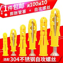 High quality TV plastic anchor plastic expansion pipe with 304 stainless steel screws 6 round head straight expansion plug