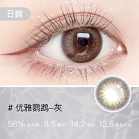 Элегантный попугай-серый