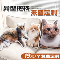 DIY custom pillow special-shaped custom pet pillow cat picture printable photo simulation pillow boundless ugly cat