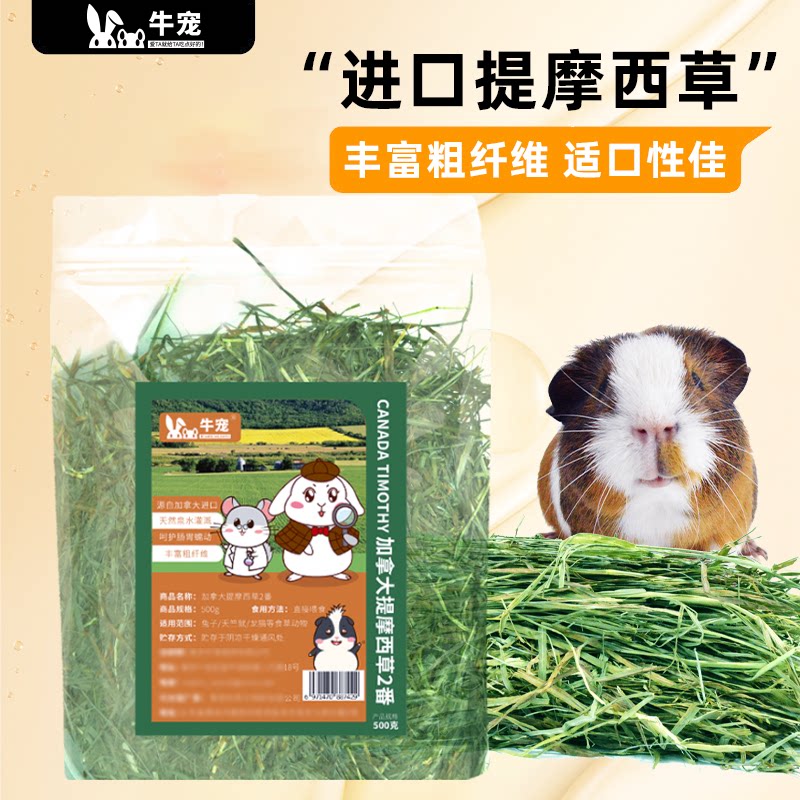 With withered grass] cattle pet Canada 2 rabbits Timothy grass segment guinea pig grain grass snow Timothy grass