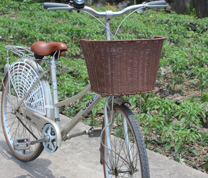 Panier pour vélo - Ref 2263063 Image 3