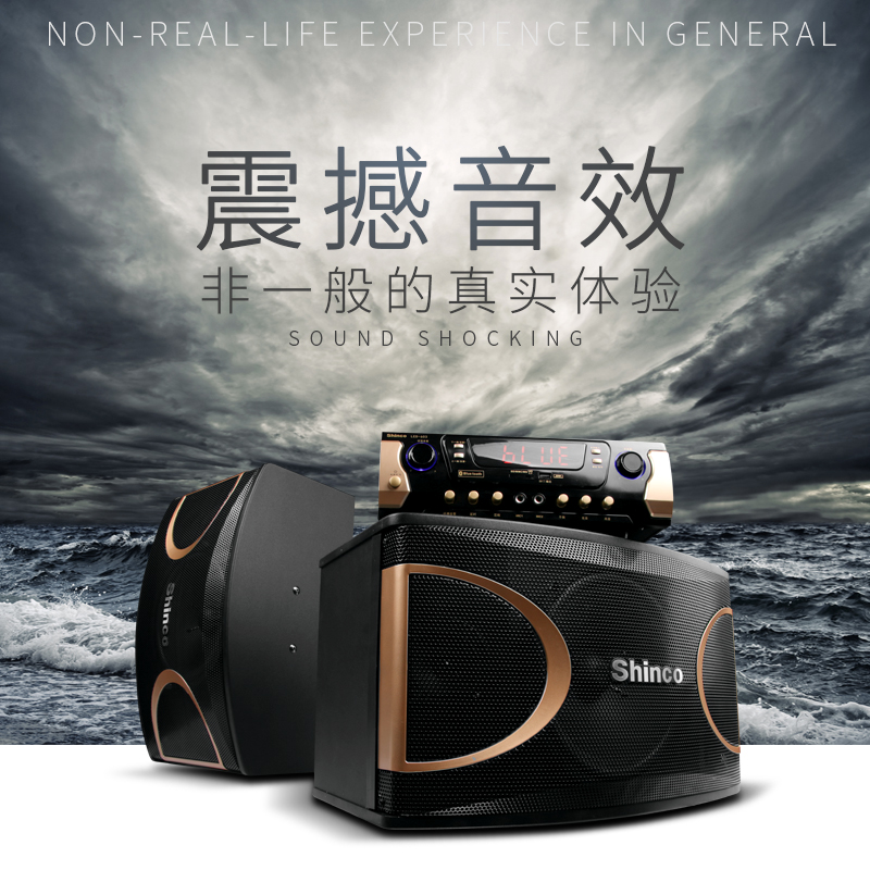 Shinco Shinco 10-inch professional card package speaker KTV family karaoke set meeting room dance room audio