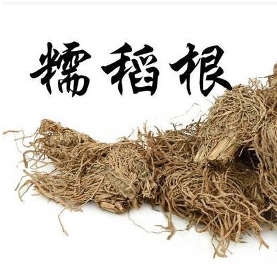 Chinese herbal medicine Chinese herbal medicine glutinous rice root rice root clean glutinous rice root rice root to be 500g