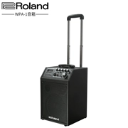 Loa Roland Roland WPA-1 Loa Bluetooth cầm tay Loa Street Road Show Square Dance Pull Bar Sound - Loa loa