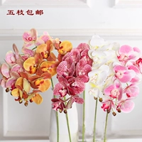 Keo dán hoa giả Hoa lan hồ điệp nhân tạo hoa đơn phòng khách sàn hoa hoa trang trí nhà hoa cưới - Hoa nhân tạo / Cây / Trái cây bình hoa giả đẹp