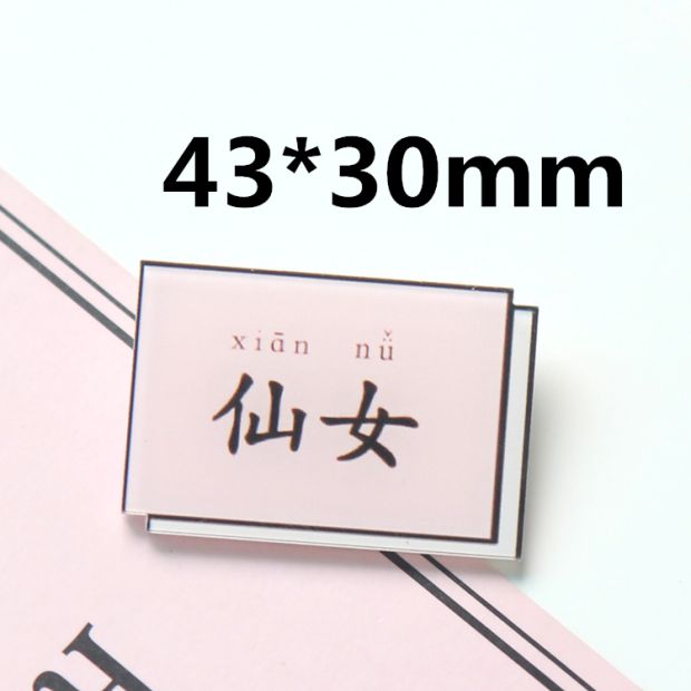 Cá nhân hoá nhãn văn bản đáng yêu hoang dã nhỏ trâm pin huy hiệu acrylic nữ sinh viên túi quần áo phụ kiện - Trâm cài huy hiệu cài áo