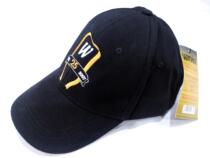 WARWICK WARWICK 25th Anniversary Limited Edition Hat Baseball cap Cap Musical Instrument Brand hat