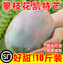 Panzhihua Ketmandang seasonal fresh fruit green-skinned sour and crispy 10 pounds ready to pick whole box straight from origin