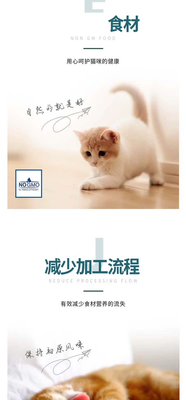 Thức ăn đóng hộp cho mèo cực kỳ Meng Ý dành cho mèo được tiệt trùng cho mèo Thức ăn ướt Thức ăn cho mèo có phần thưởng Pet Kitty 415g - Đồ ăn nhẹ cho mèo