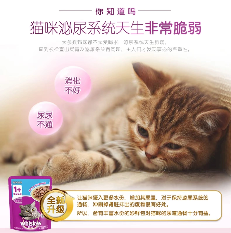 Wei Jiacheng Cat Miao Fresh Pack Cat Wet Food Pack Deep Hải sản Hương vị cá 24 Ngay cả Gói Mèo Ăn vặt Mèo đóng hộp - Đồ ăn nhẹ cho mèo