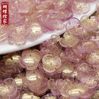 1 Зиджинша 1