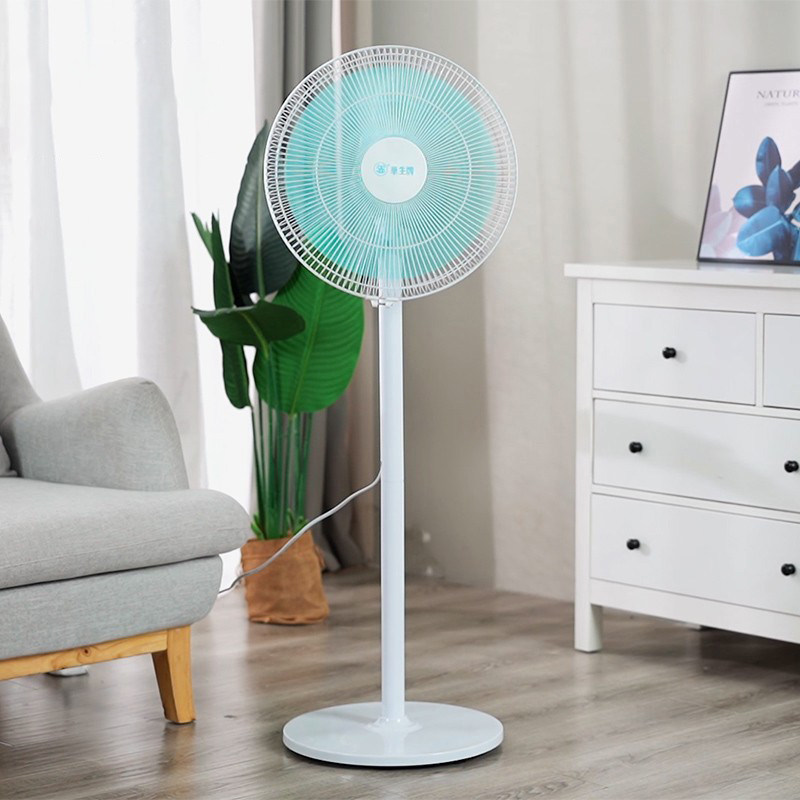 Watson Electric Fan Ground Fan Home Mute Remote Control Large Wind Bedroom Terrace Land Use Ecstasy Special Business Fan