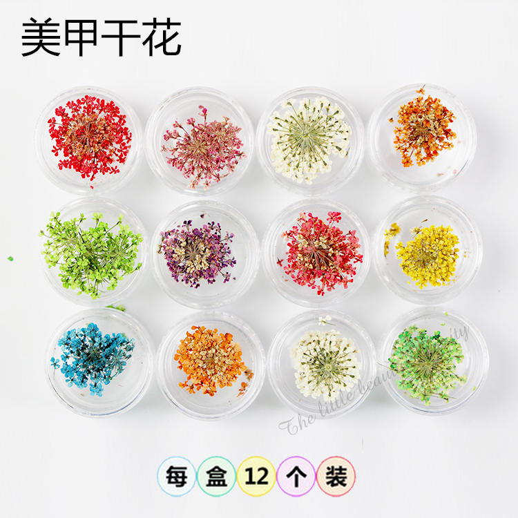 美甲干花饰品韩国指甲贴花日系光疗彩绘胶指甲油胶装饰品套装
